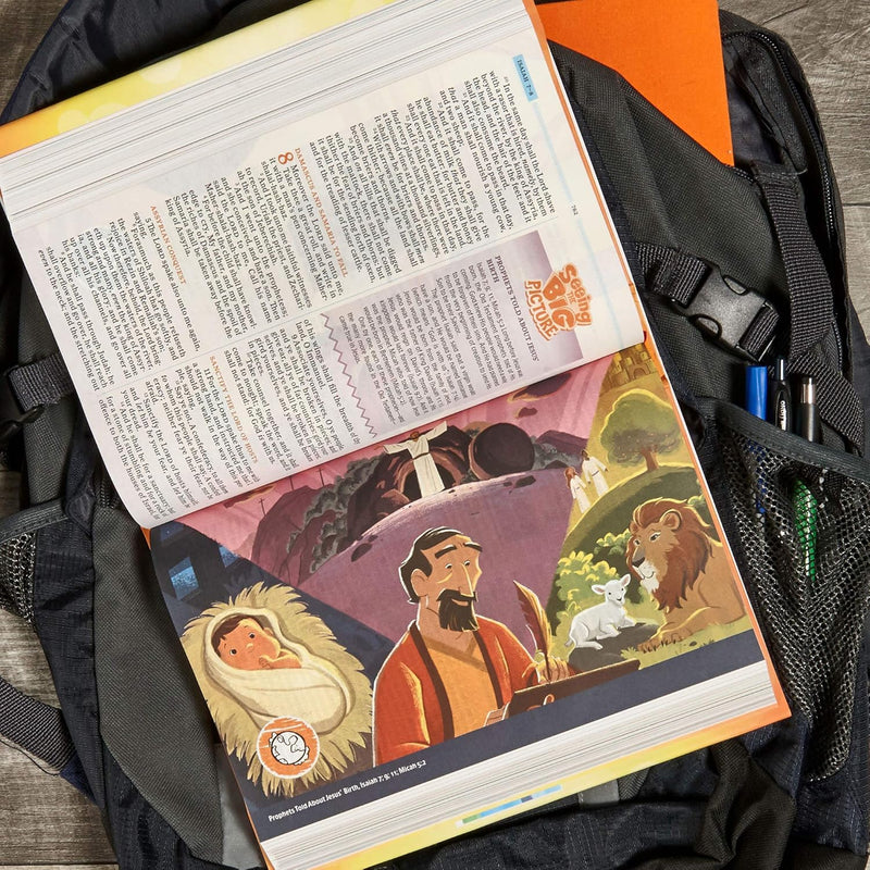 KJV One Big Story Bible by Holman Bible Publishers