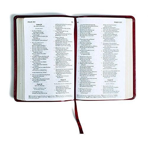 HCSB Firefighter's Bible, Red Leather Touch by Holman Bible Staff