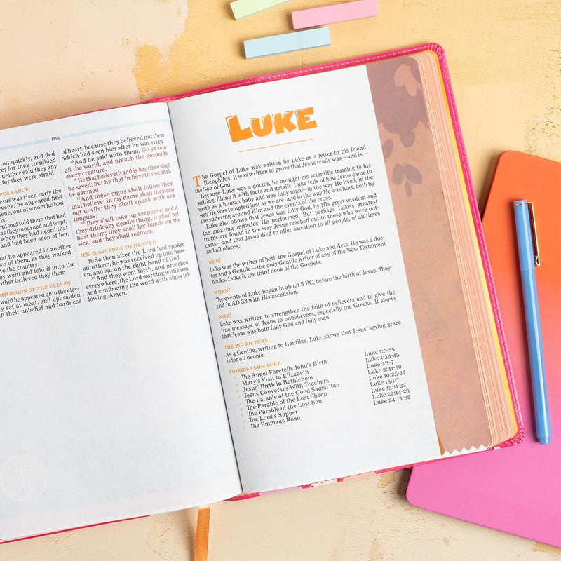 KJV One Big Story Bible, Pink LeatherTouch: Connecting Christ Throughout God's Story by Holman Bible Publishers