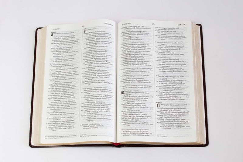 NIV English Bible – Brown Anglicised Version  by Biblica