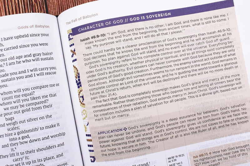 Heilige Bibel: Neue internationale Version, Mehrfarbig, Rote Buchstaben, Komfortdruck, Bringt die alte Botschaft der Bibel in Ihre Welt von Zondervan