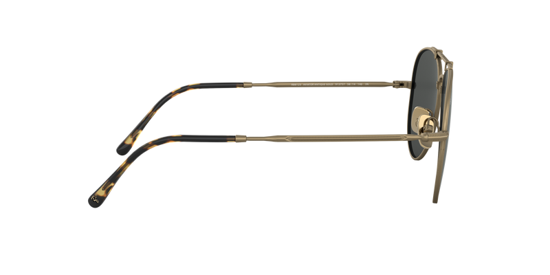 Ray-Ban AVIATOR TITANIUM Aviator Sunglasses | Ray-Ban sunglasses