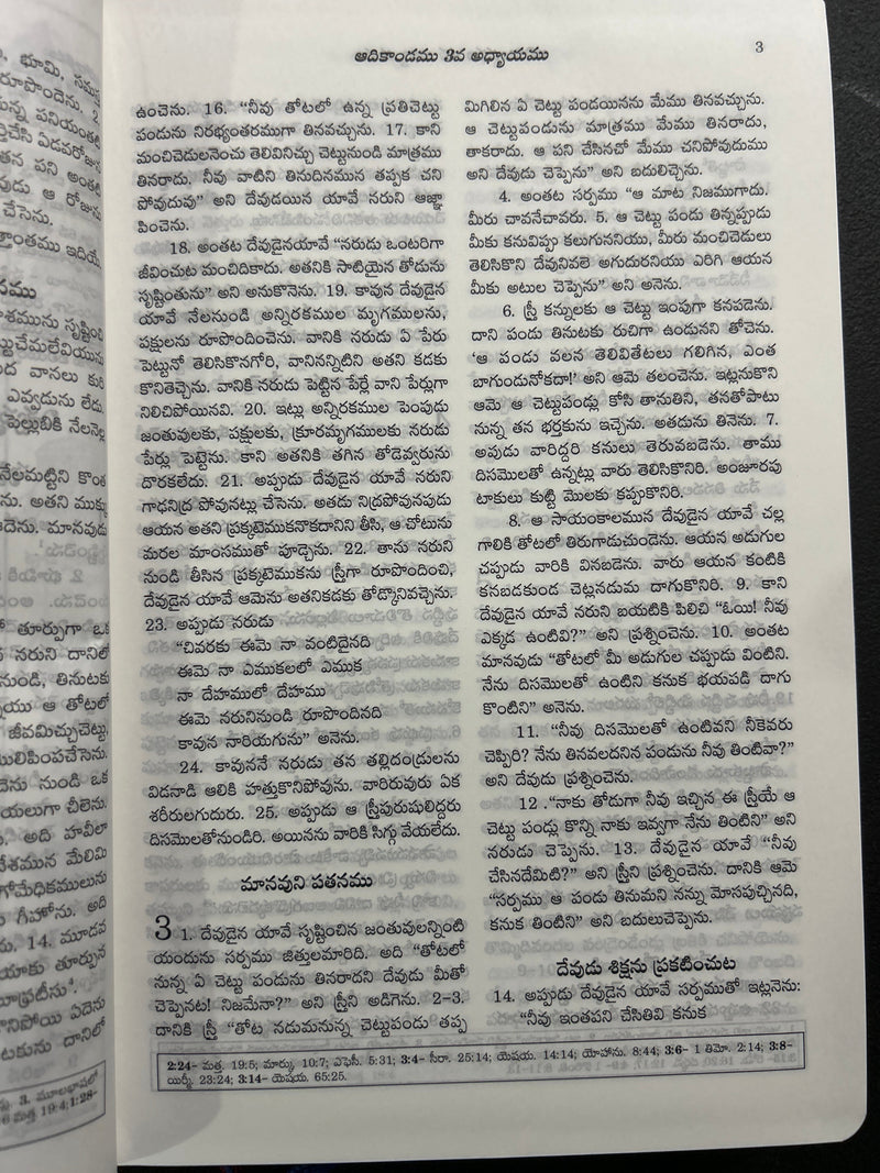 Catholic Telugu Bible (Pavitra Grandhamu) – Pink Leather Bound, Indexed, 2023