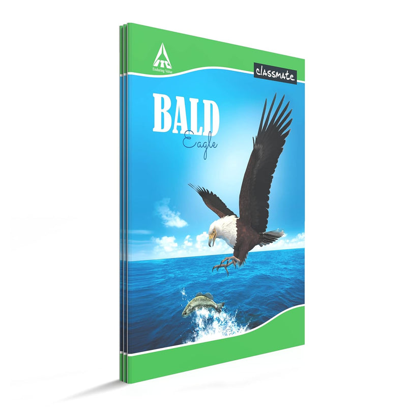 Classmate Long Book - Single Line, 172 Pages, 297 mm x 210 mm - Pack Of 3 Visit the Classmate Store