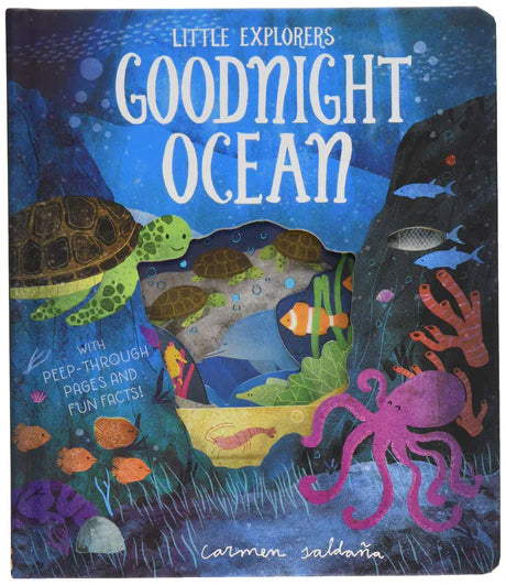Goodnight Ocean (Little Explorers) by Becky Davies in Board Books
