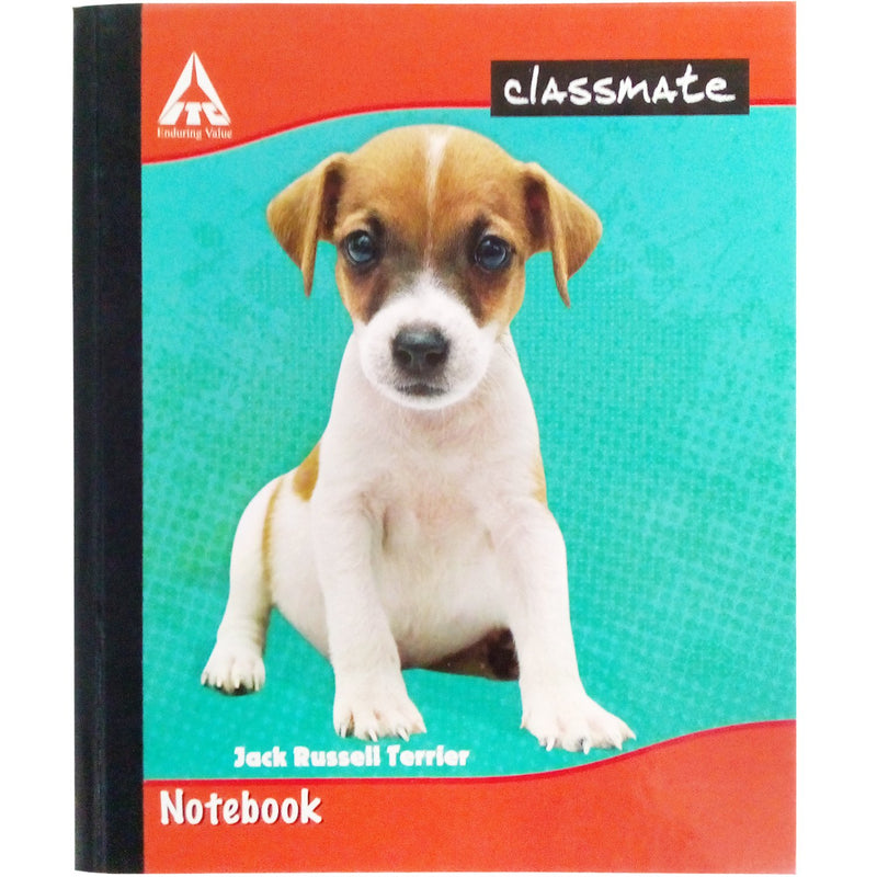 Classmate Hardbound Unruled Notebook - 190x155, 180 Pages