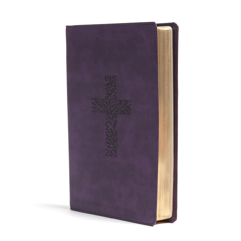 KJV Rainbow Study Bible, Purple LeatherTouch by Holman Bible Publishers