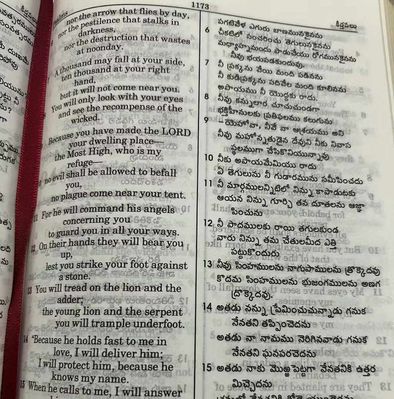 Telugu english Diglot Bible | Brown Leatherbound (ESV & OV) | BSI