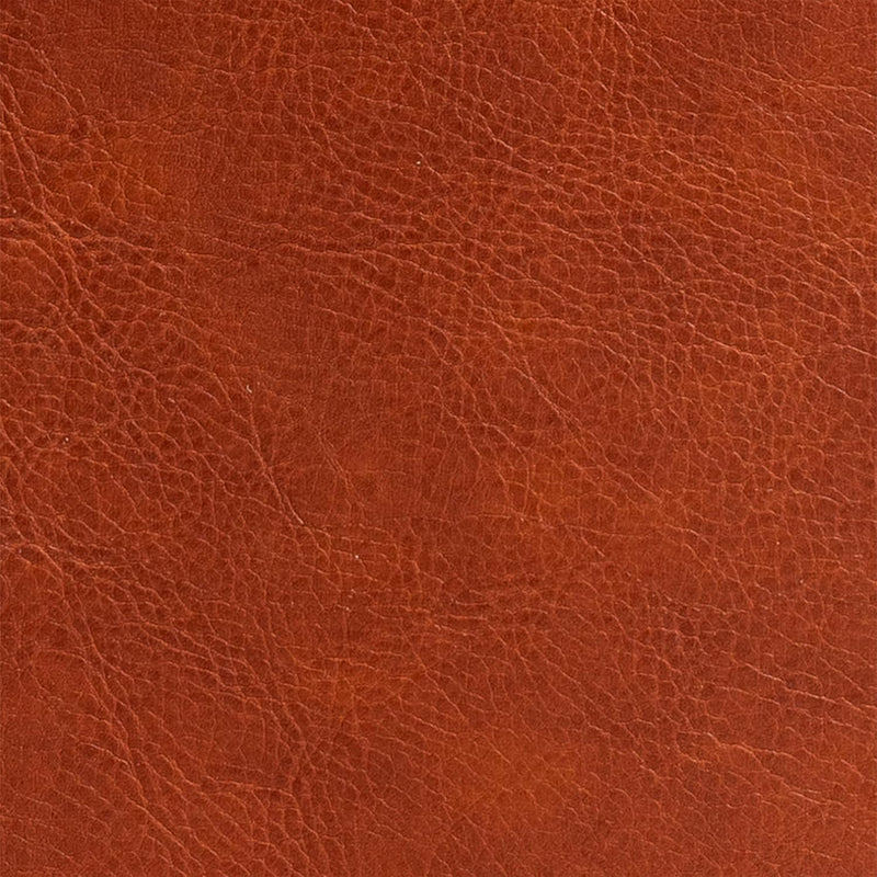 New American Standard Bible (NASB), 2020 Edition  by Holman Bible Publishers