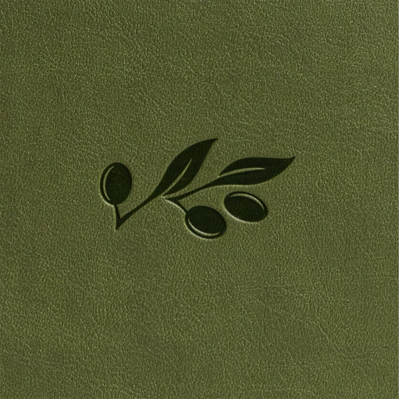 New American Standard Bible (NASB), 2020 Edition by Holman Bible Publishers