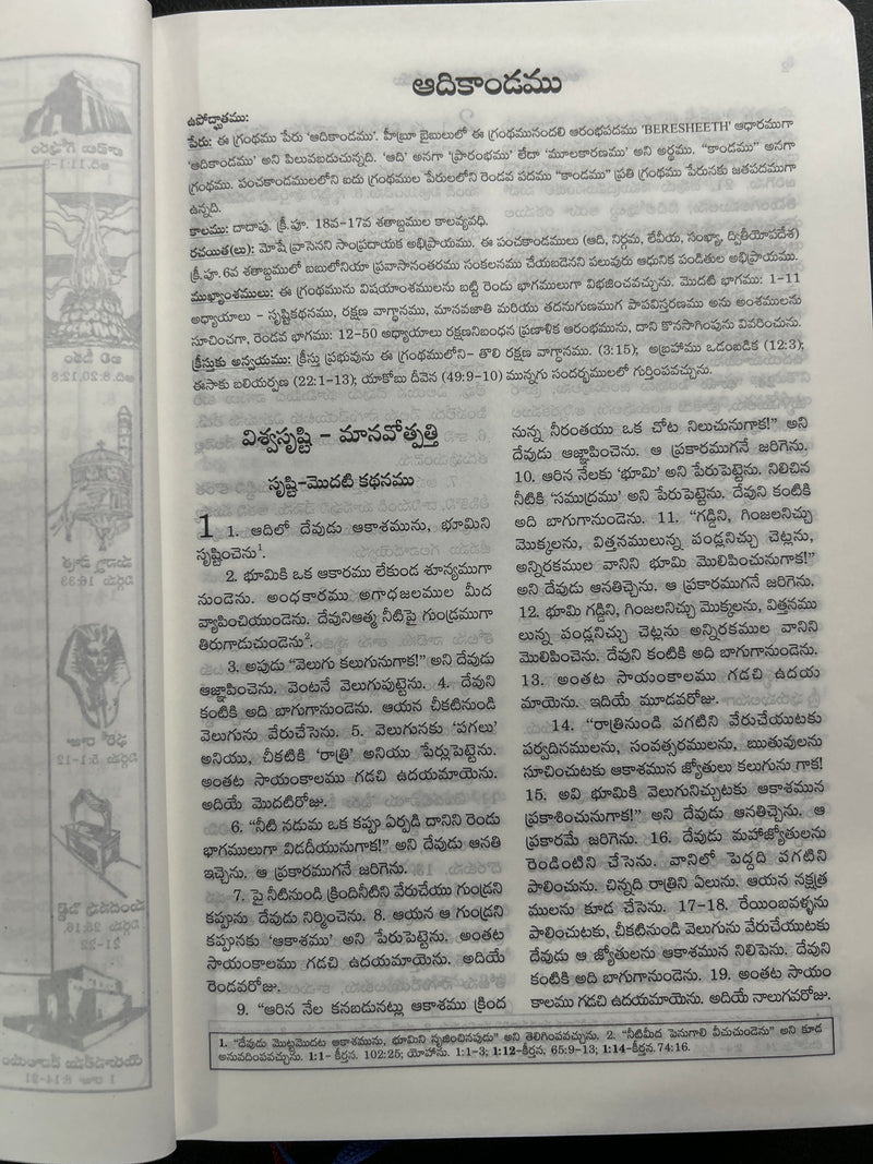 Catholic Telugu Bible (Pavitra Grandhamu) – Pink Leather Bound, Indexed, 2023