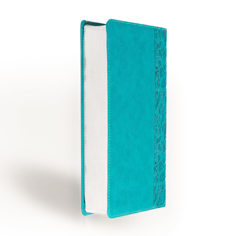 New American Standard Bible (NASB), 2020 Edition by Holman Bible Publishers