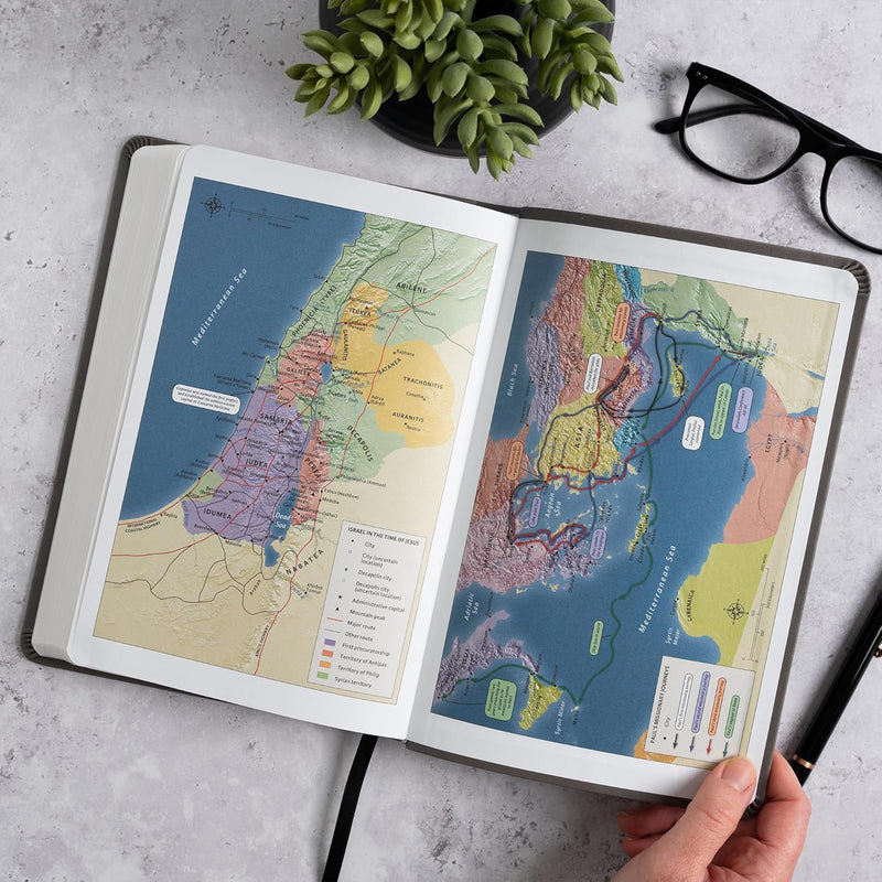 NASB-Großdruck-Thinline-Bibel, Value Edition, Charcoal Leathertouch von Holman Bible Publishers