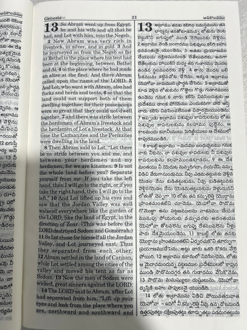 Telugu English Diglot Bible Regular Hardbound Black by BSI with ESV and OV