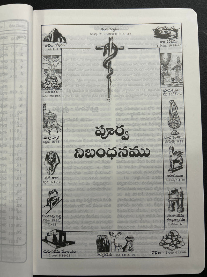 Catholic Telugu Bible (Pavitra Grandhamu) – Pink Leather Bound, Indexed, 2023