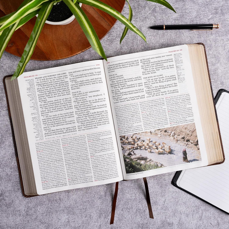 KJV Study Bible, Large Print Edition, Saddle Brown Leathertouch by Holman Bible Publishers