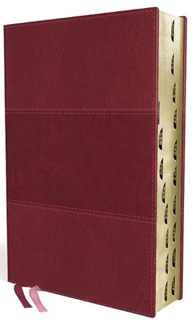 Holy Bible: New International Version, Leathersoft, Comfort Print, Reference (NIV Study Bible, Fully Revised Edition) Imitation Leather