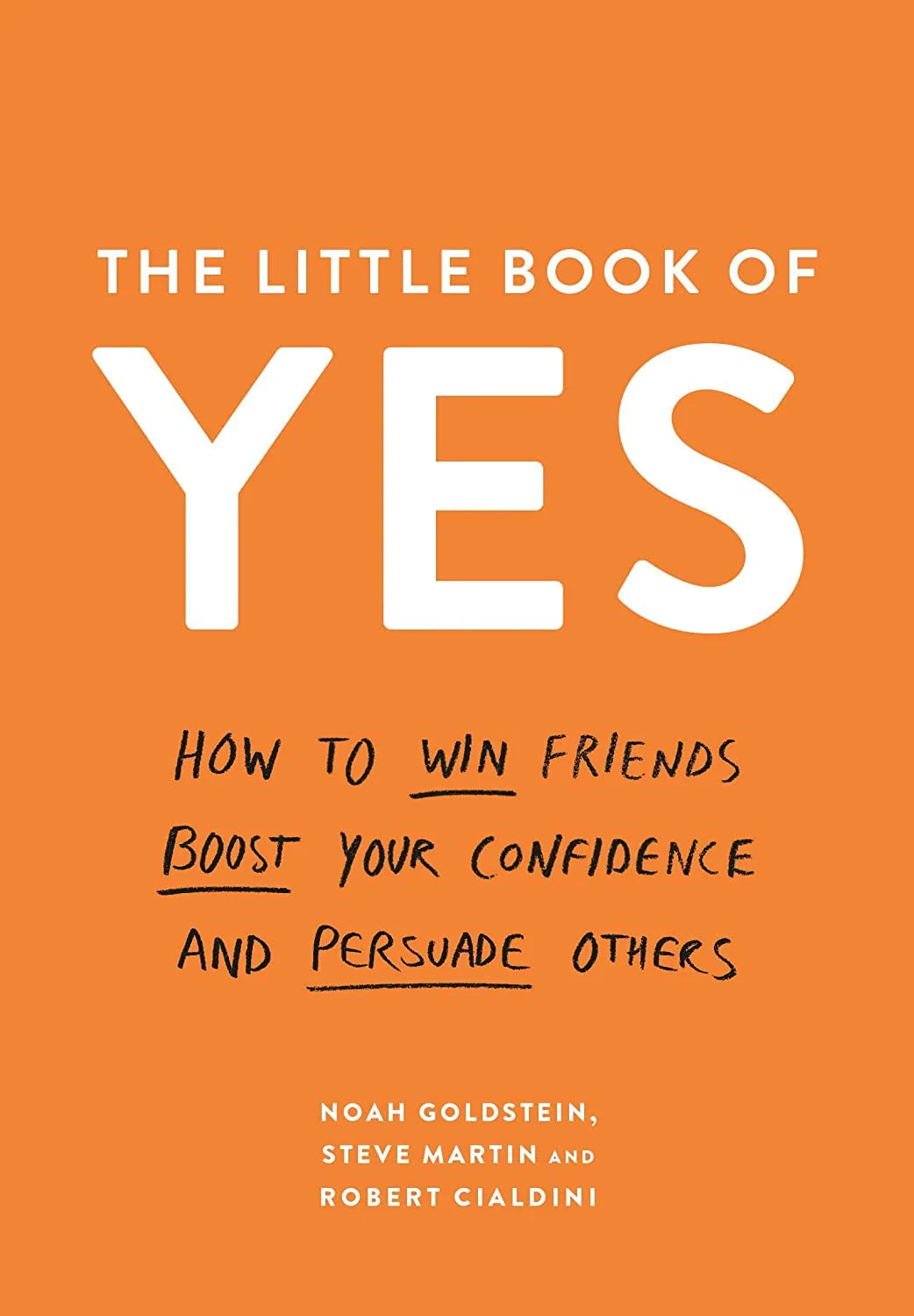 THE LITTLE BOOK OF YES by Noah Goldstein & Steve Martin
