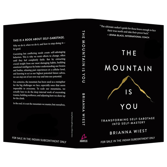 The Mountain Is You by Brianna Wiest in Hardcover