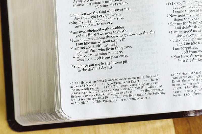 Holy Bible: NIV, NKJV, NLT & The Message – Contemporary Comparative Parallel Bible (Burgundy Bonded Leather)