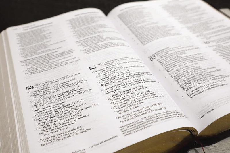 NIV NKJV NLT The Message Parallel Bible Hardcover