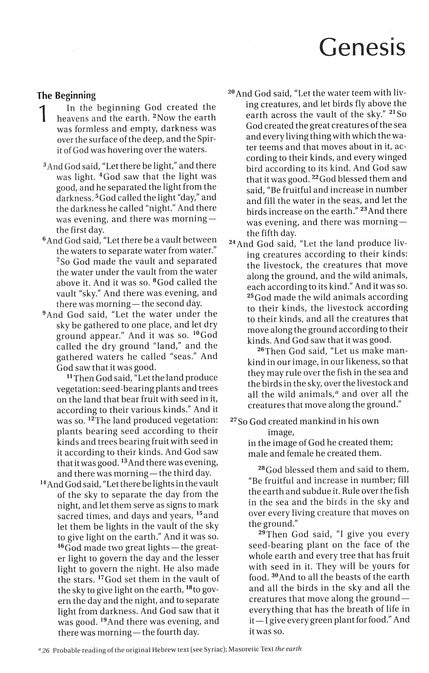 NIV, Children's Holy Bible, Color Illustrated Soft Cover | English bible for children | English bible