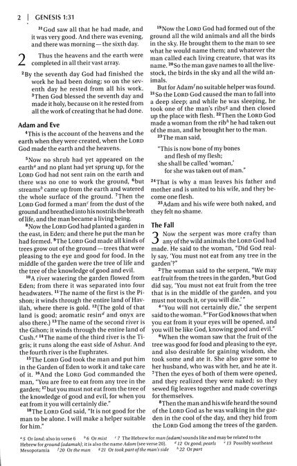 NIV, Children's Holy Bible, Color Illustrated Soft Cover | English bible for children | English bible