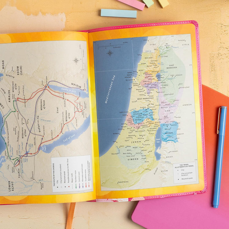 KJV One Big Story Bible, Pink LeatherTouch: Connecting Christ Throughout God's Story by Holman Bible Publishers