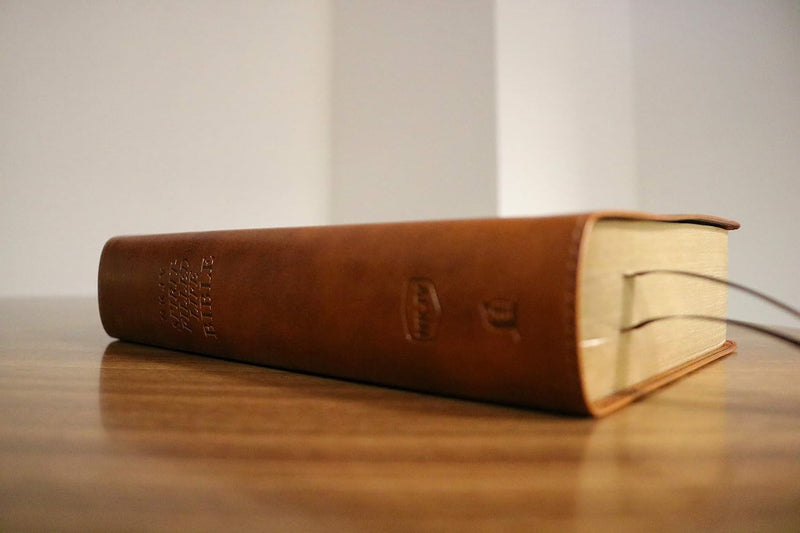 NKJV Spirit-Filled Life Bible – Softcover Study Edition | EachDayKart