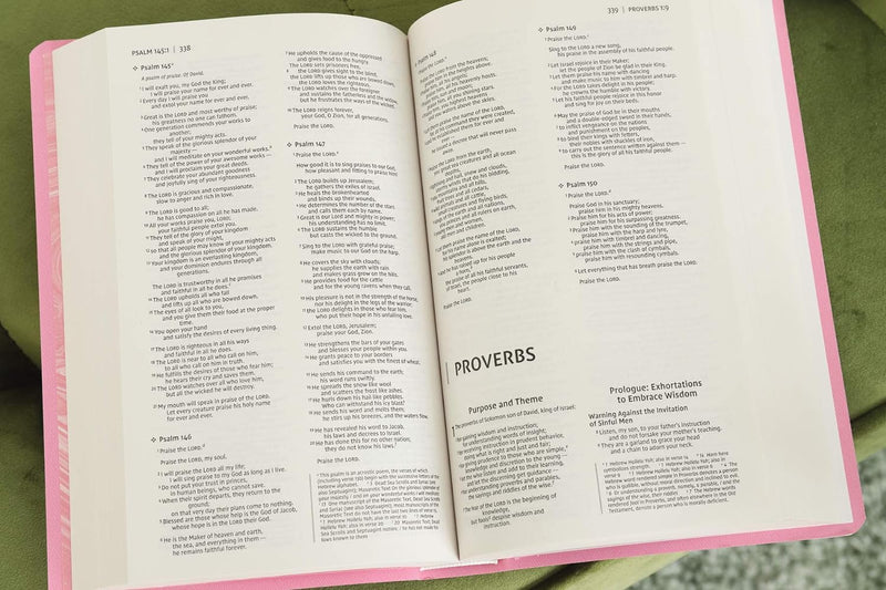 Niv, Gift and Award Bible, Leather-Look, Pink, Red Letter Edition, Comfort Print: New International Version, Pink, Leather-Look, Gift and Award