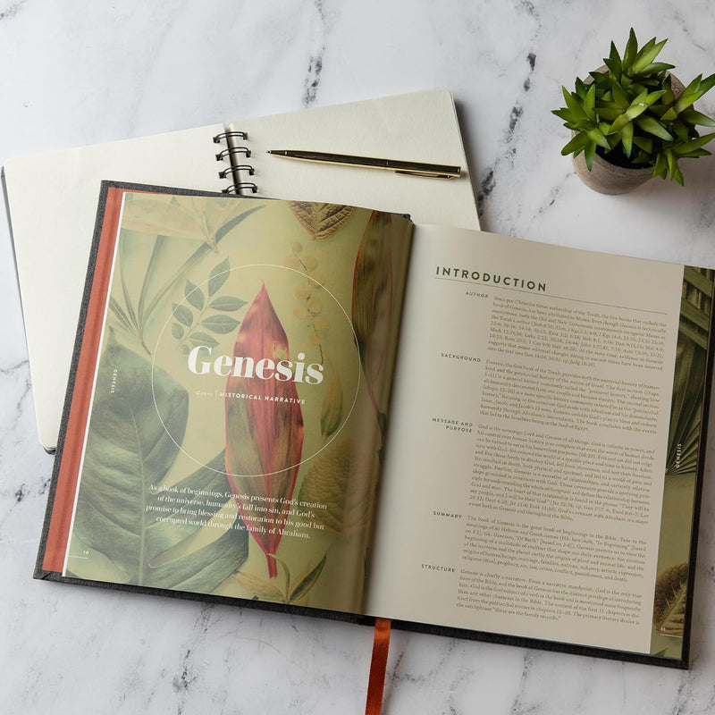 Old Testament Handbook – Charcoal Cloth-Over Hardcover by Holman Reference Staff