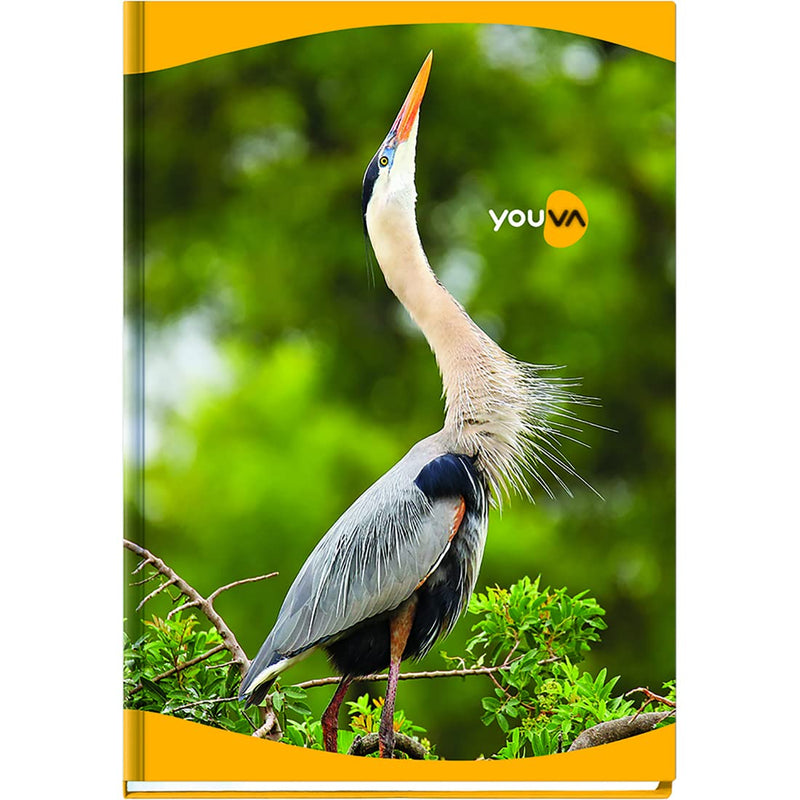 Navneet YOUVA Case Bound Hard Cover Long Book - 288 Pages (A4, Single Line)