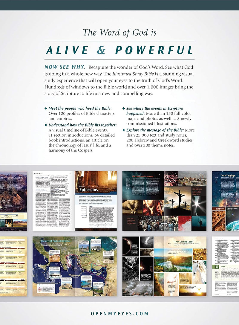 NLT Illustrated Study Bible, Deluxe Brown and Tan Edition