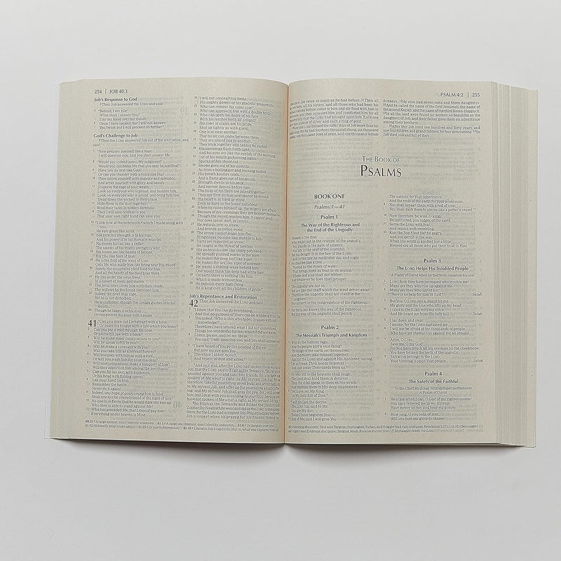 Economy Bible-NKJV: Beautiful. Trustworthy. Today by Thomas Nelson | English Bibles