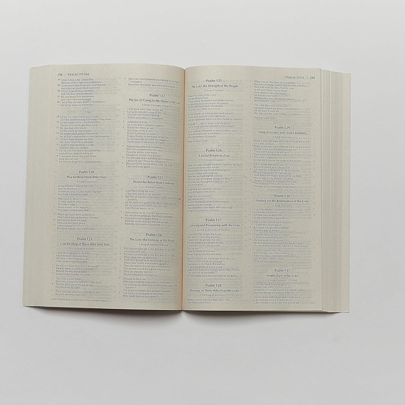 Economy Bible-NKJV: Beautiful. Trustworthy. Today by Thomas Nelson | English Bibles