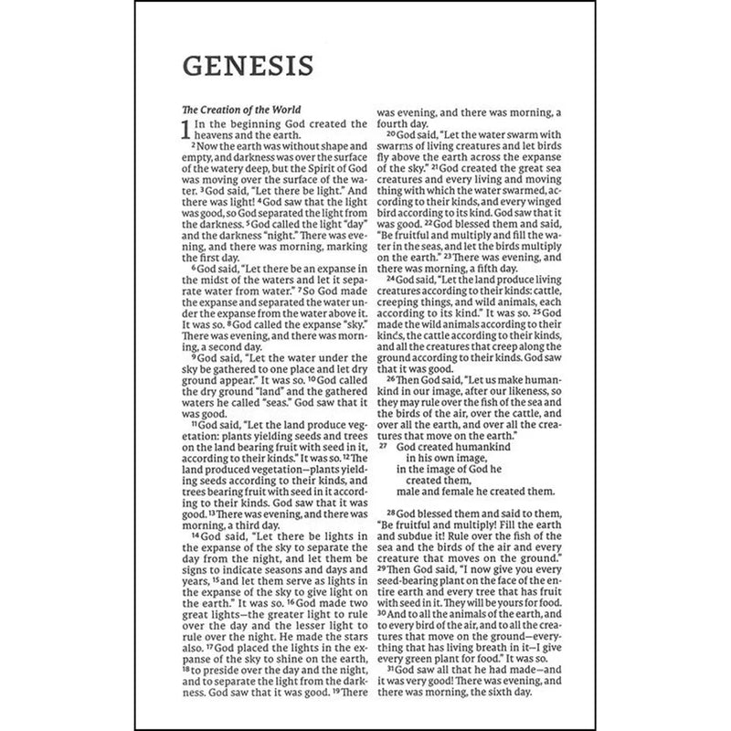 NET Bible, Thinline, Leathersoft, Stone, Comfort Print: Holy Bible (Imitation Leather)