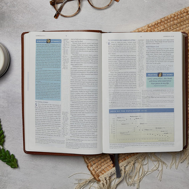 NKJV Spirit-Filled Life Bible – Softcover Study Edition | EachDayKart