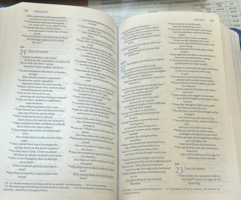 The Plans i have for you NIV Holy Bible by Amy Parker