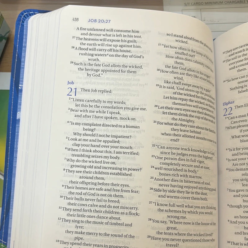 The Plans i have for you NIV Holy Bible by Amy Parker