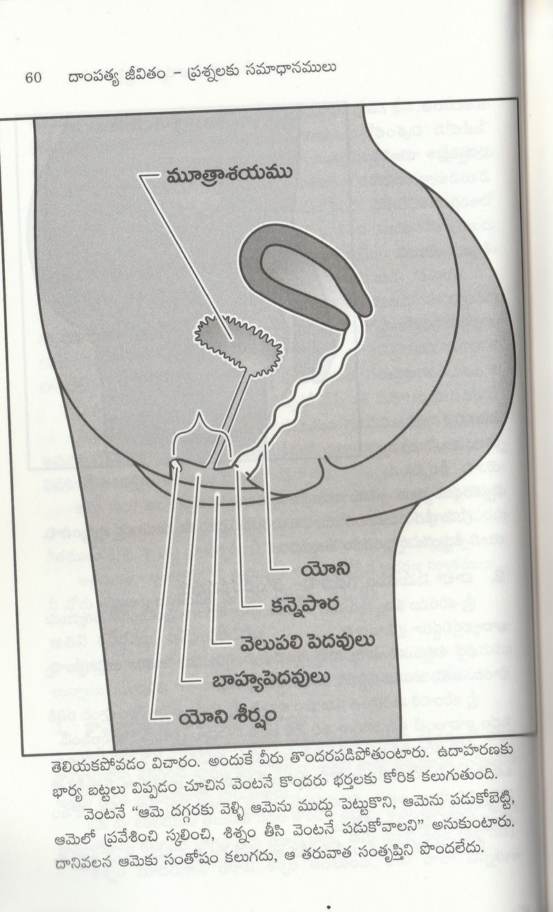 Answer for your Marriage by Bruce and Britten in Telugu  దాంపత్య జీవితం