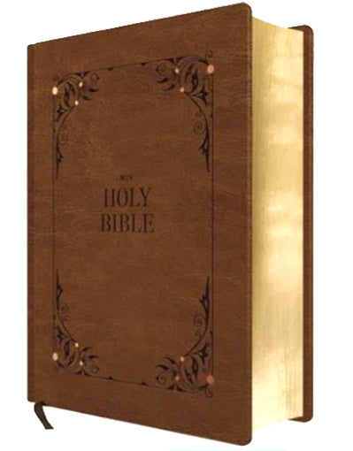 NIV Our Family Story Bible LeatherSoft Edition | EachDayKart