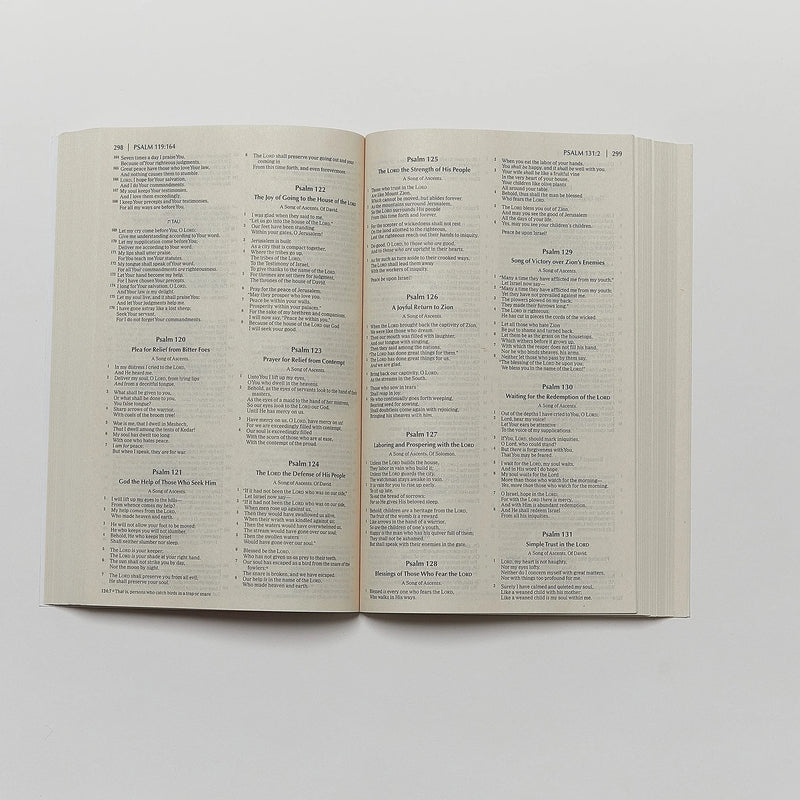 Economy Bible-NKJV: Beautiful. Trustworthy. Today by Thomas Nelson | English Bibles