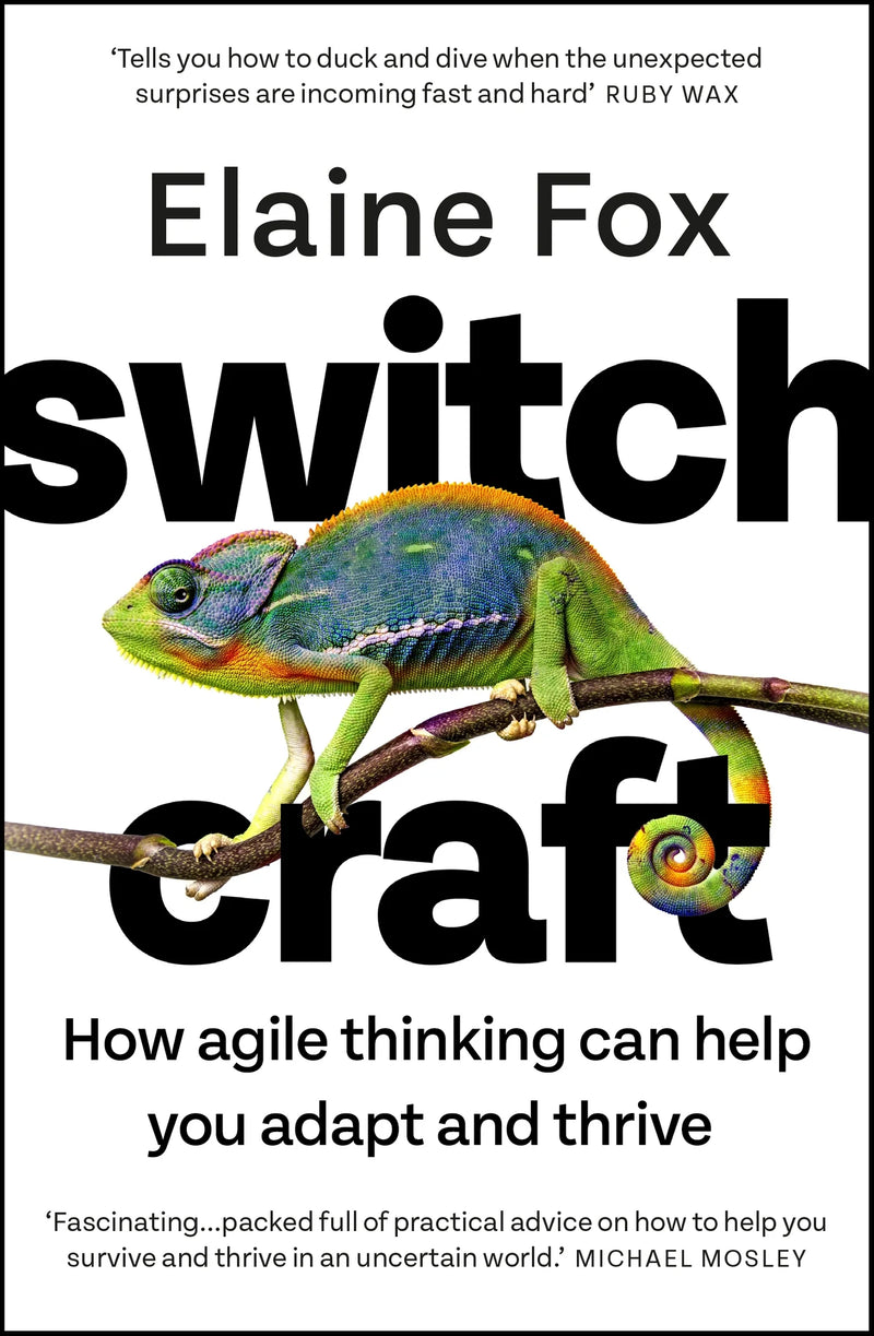 Switchcraft by Elaine Fox