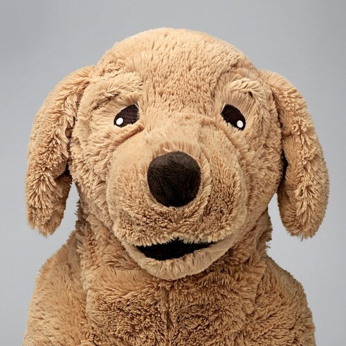 IKEA GOSIG GOLDEN Soft toy, dog/golden retriever, 70 cm (27 ½ ") | IKEA Soft Toys | Eachdaykart