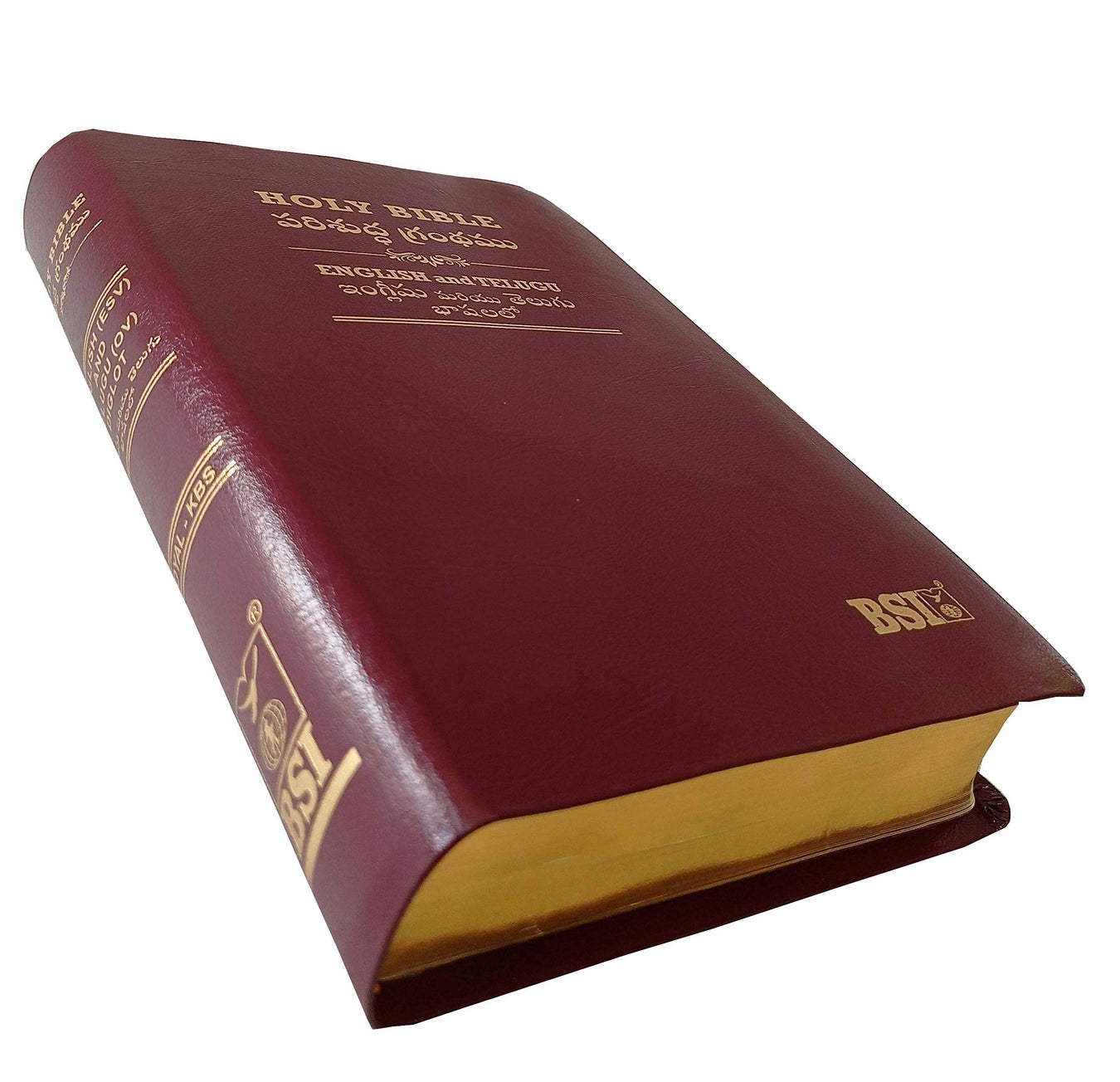 Global Telugu Bibles