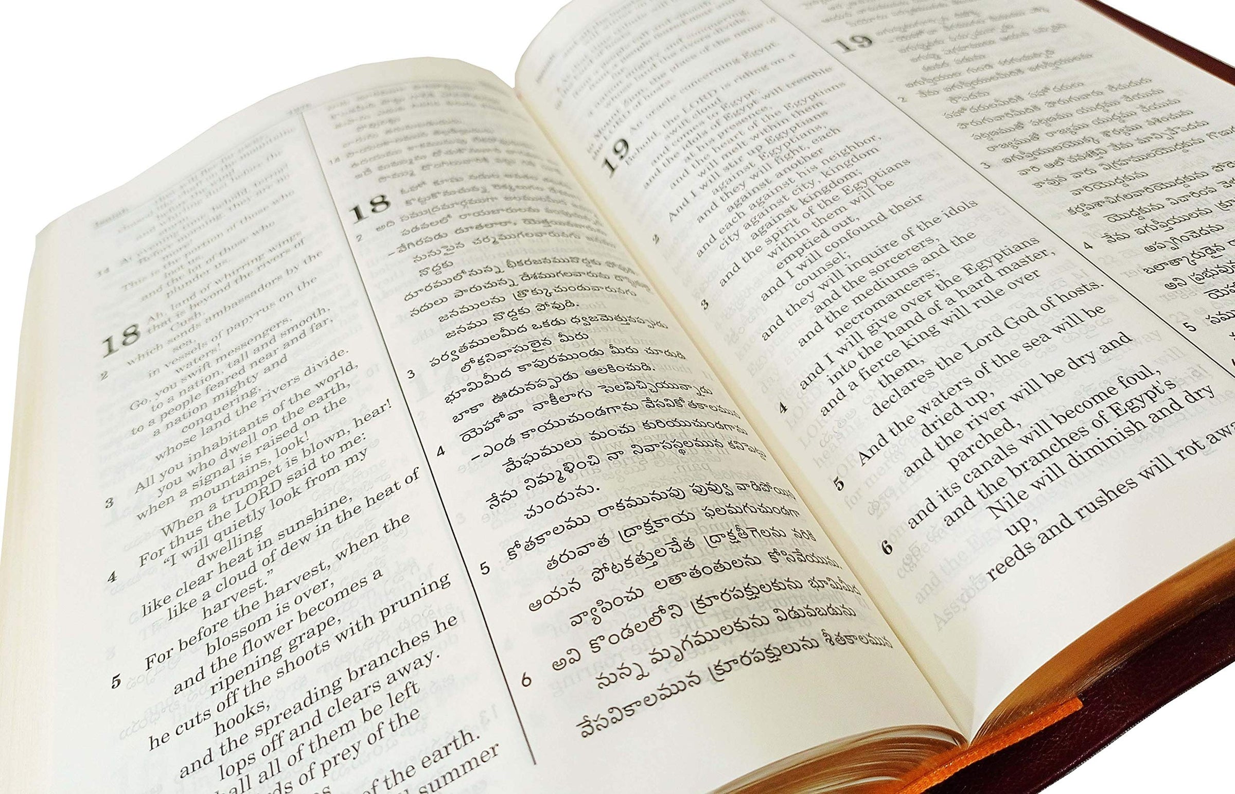 Telugu English Royal Diglot Bible in Brown by BSI | Telugu English Bil ...