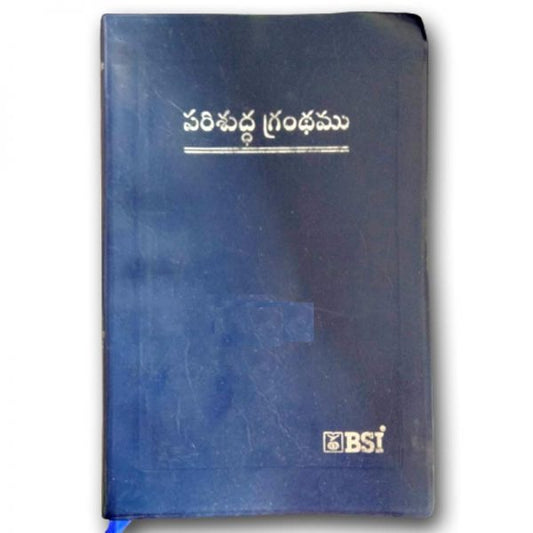 Telugu Bible – OV – (N.F O3) Deluxe without Zip – Plastic comb – BSI Version - Telugu Bibles