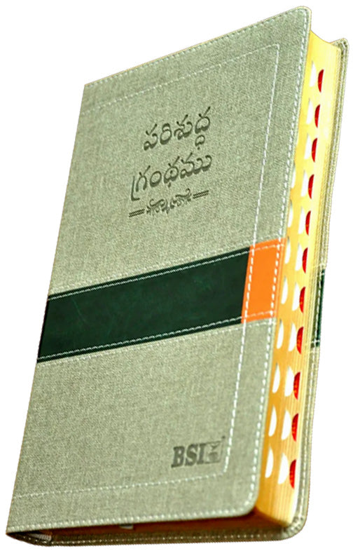Telugu OV Gilt DY TI DuoTone Yaap | Telugu Bibles | Bibles in Telugu