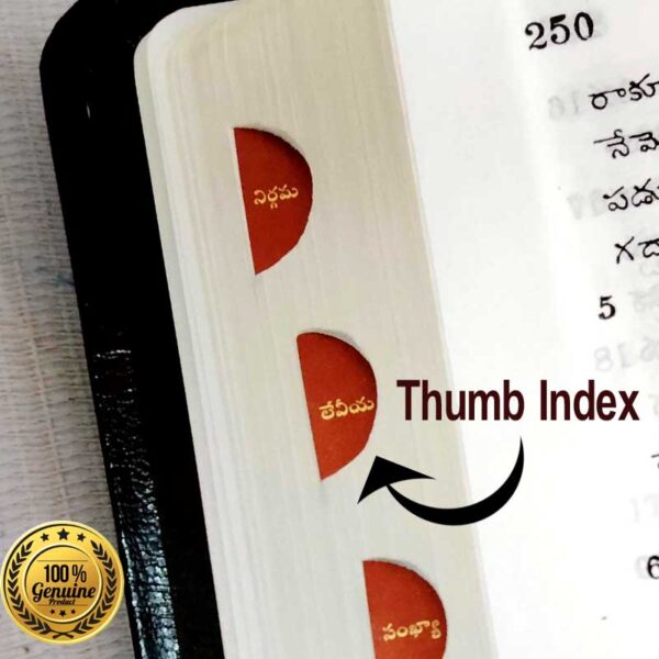 The Holy Bible Telugu Korean Giant Print (OV) Leather Cover, Gold Edge, Thumb Index, Without Zip By BSI – Telugu Korean Print Bibles