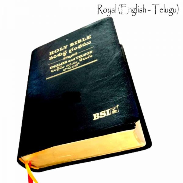 Telugu English Royal Diglot bible Korean Print with Leather By BSI | Telugu Bibles | Telugu Koran Print Bibles